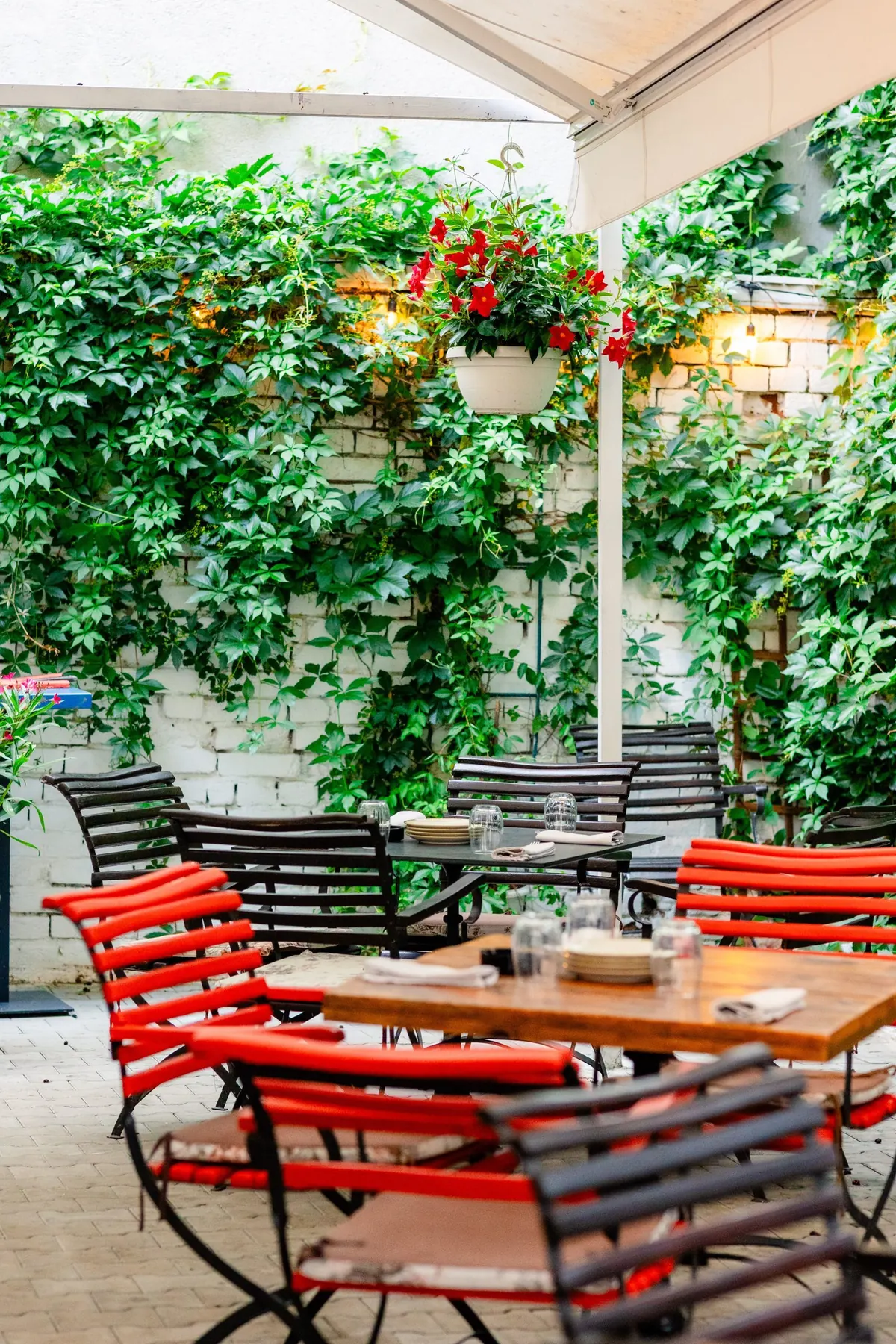 Brera gradina Bucuresti terasa