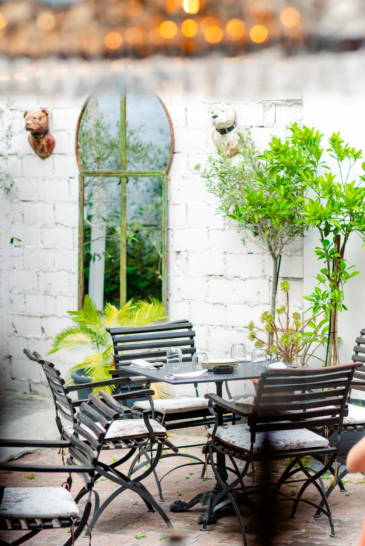 Locatie centrala gradina restaurant Bucuresti Brera